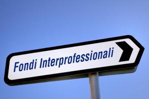 fondi